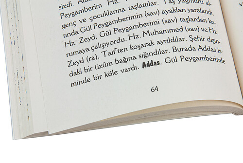 Gül Peygamberim Hz. Muhammed (SAV) Çocuklar İçin Siyer - 4