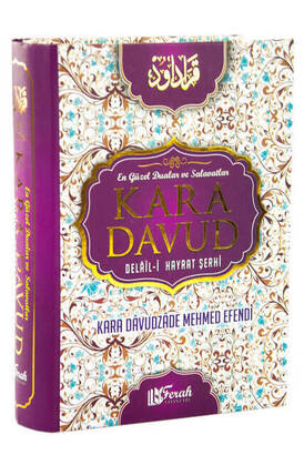 Kara Davud - Delail-i Hayrat Şerhi - 1