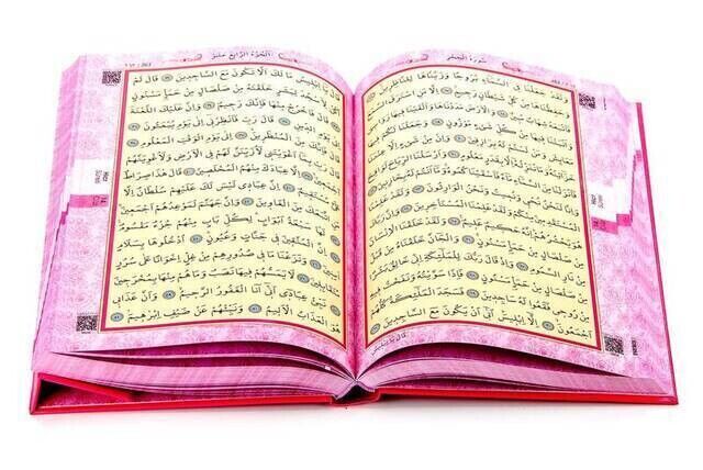 Kuran Karim - Plain Arabic - Rahle Boy - Audio - Pink Color - Ayfa Quran - Computer-Lined - 4