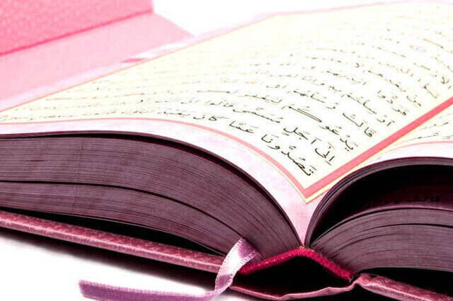 Kuran Karim - Plain Arabic - Rahle Boy - Audio - Pink Color - Ayfa Quran - Computer-Lined - 6