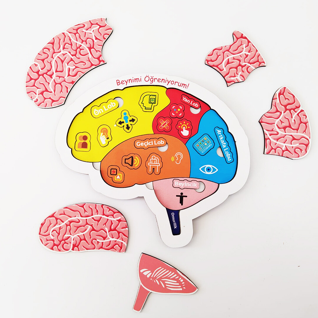 Learning My Brain Wooden Puzzle - Children's Puzzle - Educational Toy for Ages 5 and Above - 3