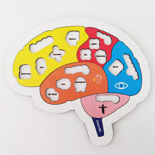 Learning My Brain Wooden Puzzle - Children's Puzzle - Educational Toy for Ages 5 and Above - 4