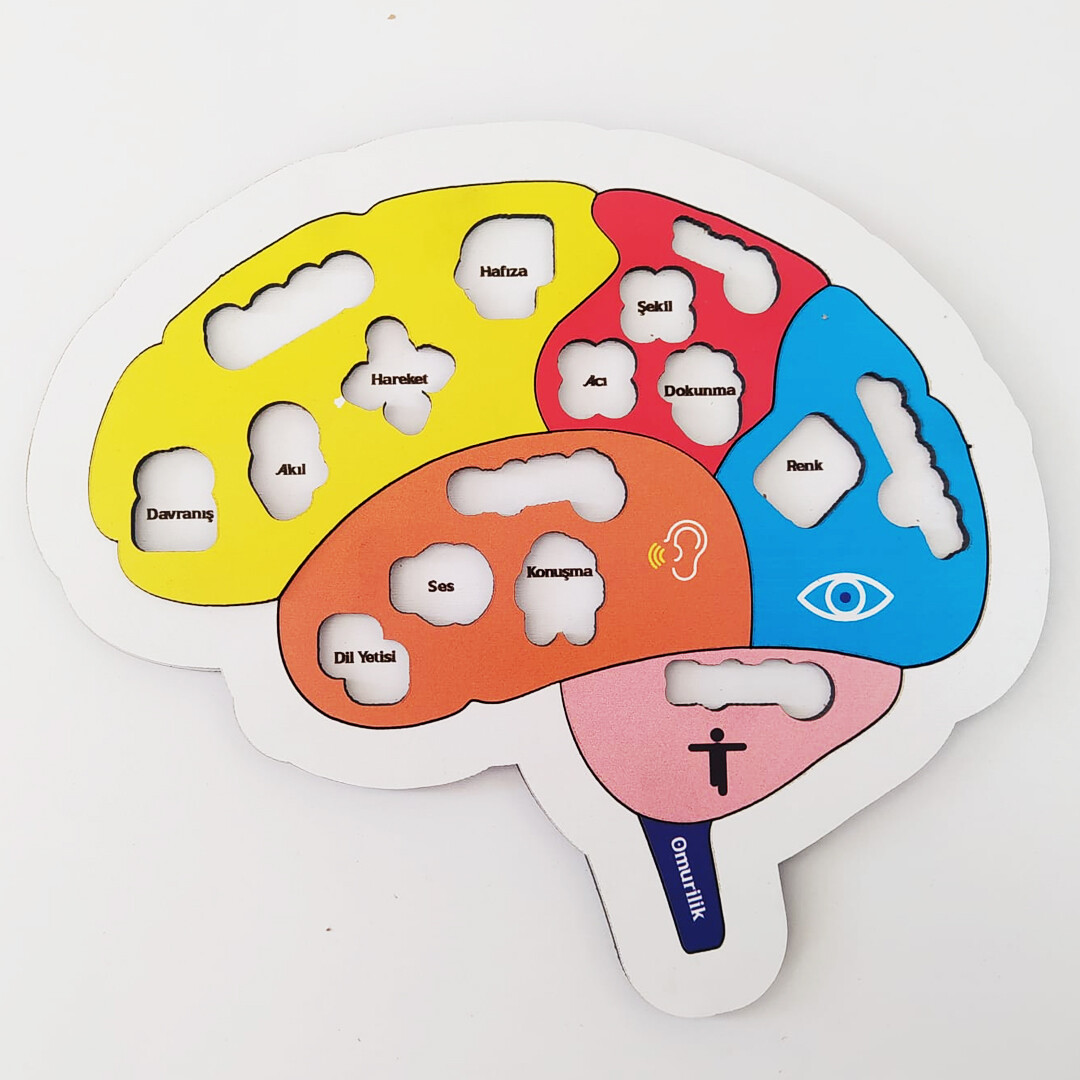 Learning My Brain Wooden Puzzle - Children's Puzzle - Educational Toy for Ages 5 and Above - 4