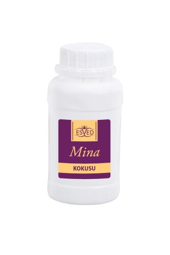 Mina Kokusu Çubuklu Koku Bambu Kokusu Yedek Dolum Şişesi 100Ml - 1