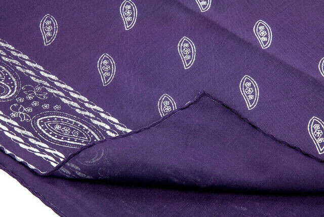 Panel Patterned Purple Coverlet - 2