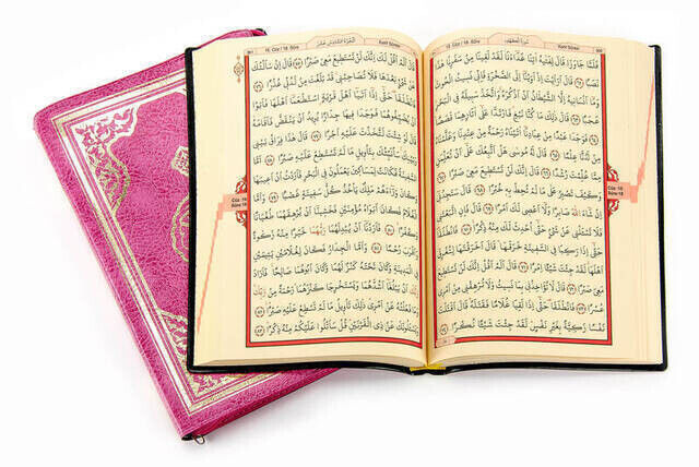 Quran Karim - Plain Arabic - Hafiz Boy - Conquest Publications - Pink - Computer-Lined - 3