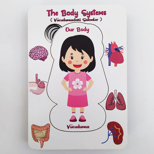 Systems in Our Body Puzzle - English and Turkish - Puzzle for Girls - Educational Toy for Ages 5 and Above - 2