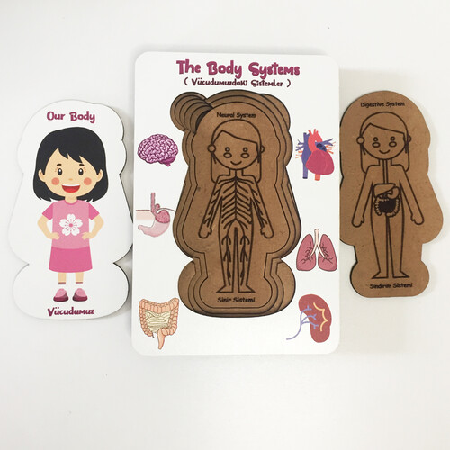 Systems in Our Body Puzzle - English and Turkish - Puzzle for Girls - Educational Toy for Ages 5 and Above - 3