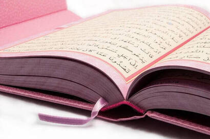 The Holy Quran - Plain Arabic - Medium Size - With Voice - Pink - With Computer Line - 5